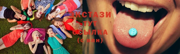 шишки Пестово