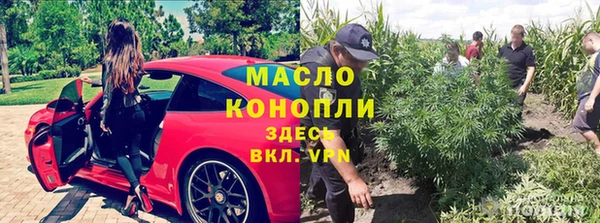 шишки Пестово