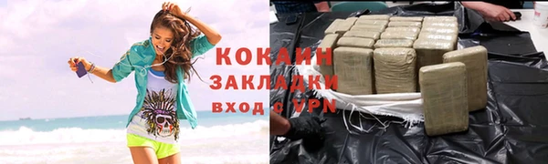 шишки Пестово
