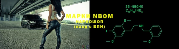 шишки Пестово
