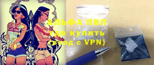 шишки Пестово