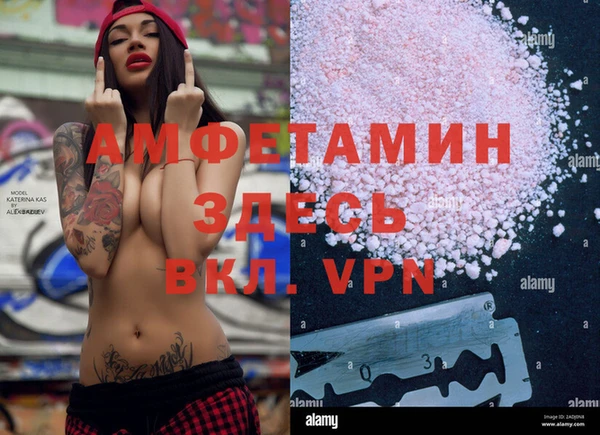 шишки Пестово