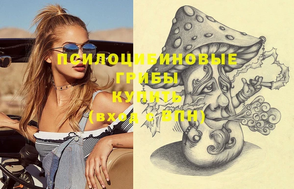 шишки Пестово