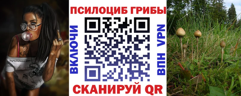 Псилоцибиновые грибы прущие грибы Приволжск
