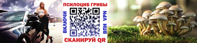 Галлюциногенные грибы Psilocybe  Приволжск 